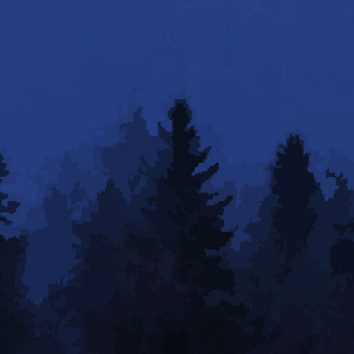 Profile Photo (Forest, twilight)